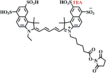 sulfo Cy-5.5(Et)-SE.TEA